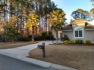 Bluffton - Photo 2