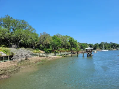 Bluffton - Photo 4