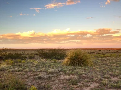 Eddy County - Photo 5