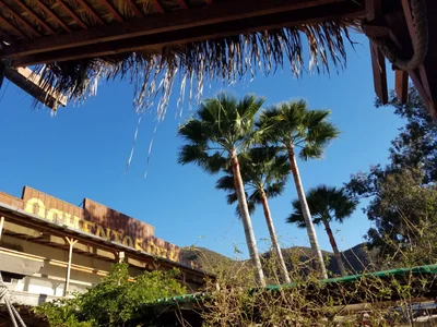 Francisco Zarco (Valle de Guadalupe) - Photo 4