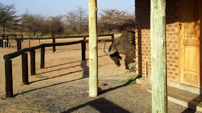 Ghanzi - Photo 5