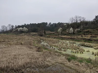 Xinyang - Photo 3