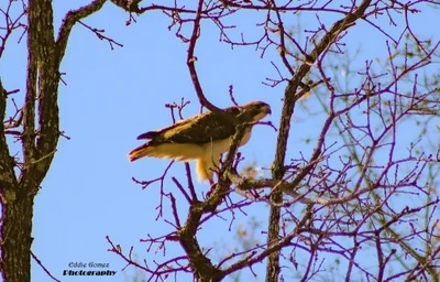 Fairfield - Photo 5