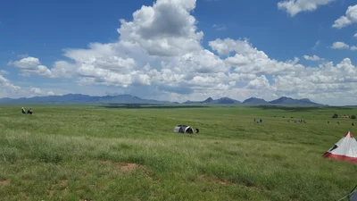 Sonoita - Photo 3