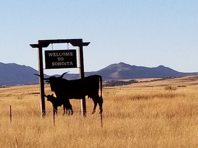 Sonoita - Photo 4