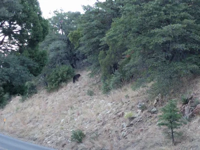 Santa Cruz County - Photo 2