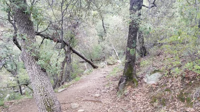 Santa Cruz County - Photo 4