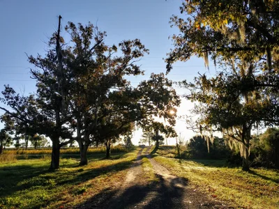 McIntosh County - Photo 3