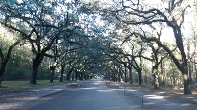 McIntosh County - Photo 5