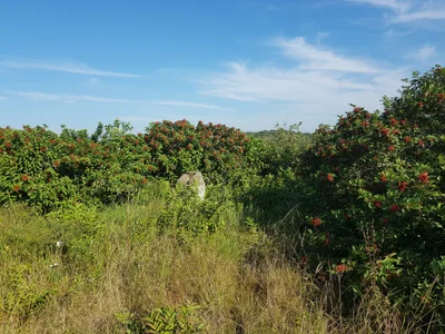 Mandeni Local Municipality - Photo 3