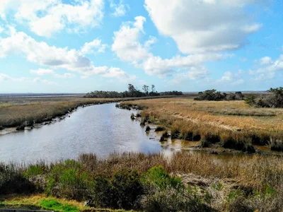 Darien - Photo 5