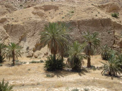 Metlaoui - Photo 5