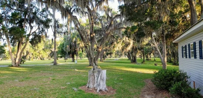 Brunswick - Photo 5