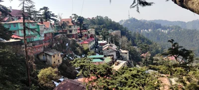Kufri - Photo 3