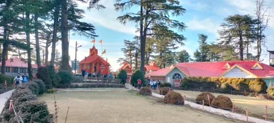 Kufri - Photo 4