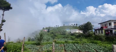 Kufri - Photo 5