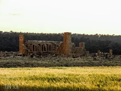 Kasserine - Photo 4