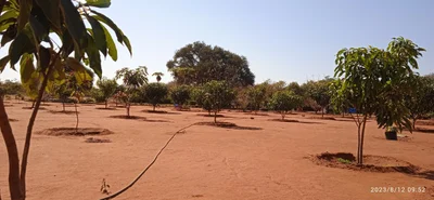 Selebi Phikwe - Photo 4