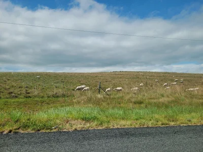 Amahlathi Local Municipality - Photo 2