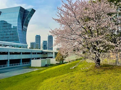 Yokohama - Photo 3