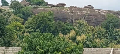 Dassa-Zoumé - Photo 4