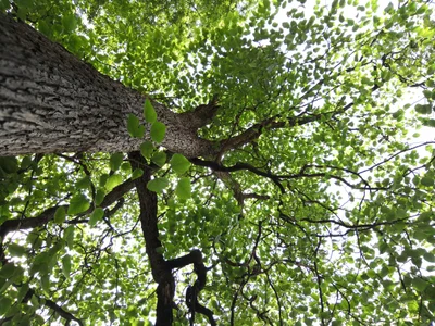 Bhyudar - Photo 3