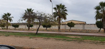 New Borj El Arab - Photo 5