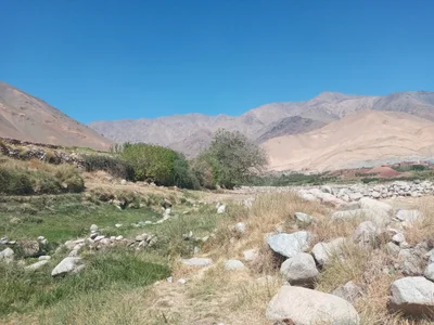 Tidili - Photo 3