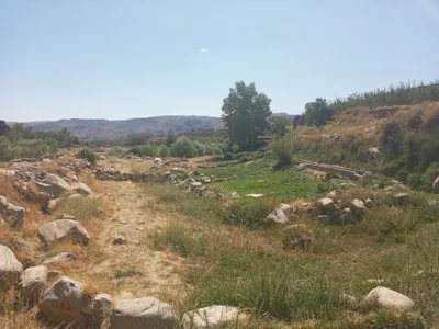 Tidili - Photo 4