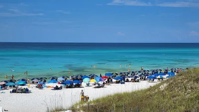 Walton County - Photo 3