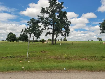 Plantersville - Photo 4