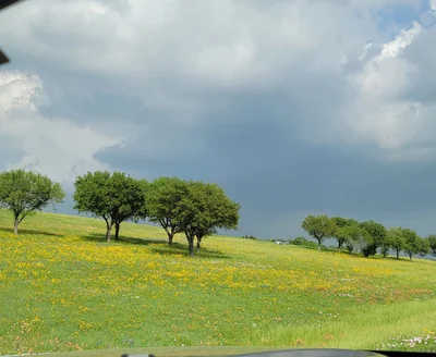 Plantersville - Photo 5