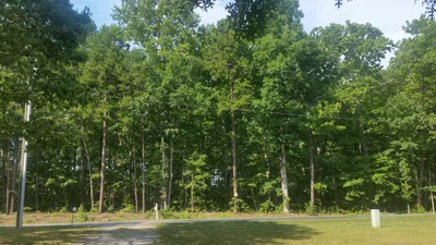 Gordonsville - Photo 3