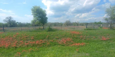 Bastrop County - Photo 2