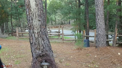 Bastrop County - Photo 5
