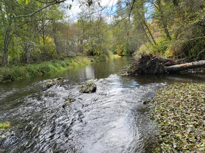 Applegate - Photo 4