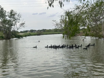 Harris County - Photo 3