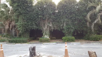 Suwannee County - Photo 2