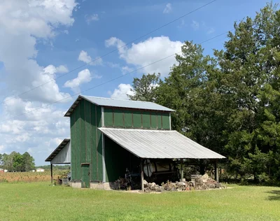 Suwannee County - Photo 4