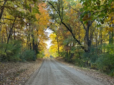 Pinckney - Photo 2