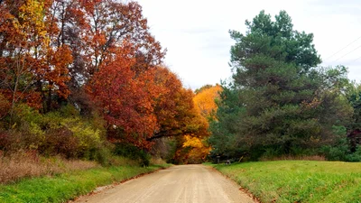 Pinckney - Photo 3