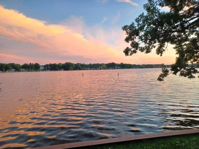 Pinckney - Photo 4