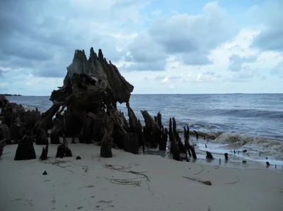 Carrabelle - Photo 2