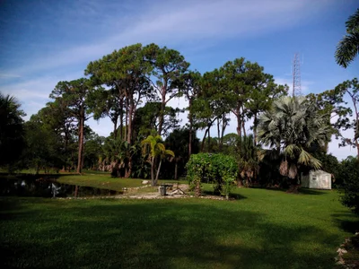 Nokomis - Photo 2