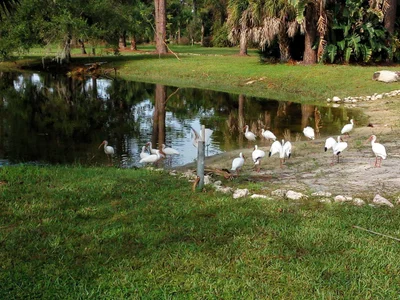 Nokomis - Photo 3