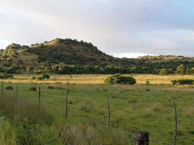 Naledi Local Municipality - Photo 2