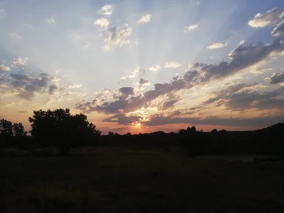 Naledi Local Municipality - Photo 5