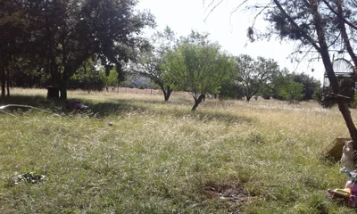 Utopia - Photo 3