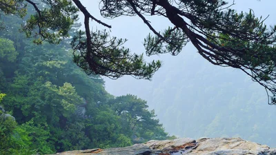 Lushan City - Photo 5
