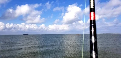 Galveston County - Photo 4